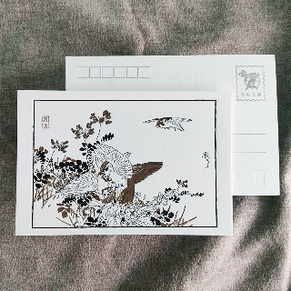 明信片-雀