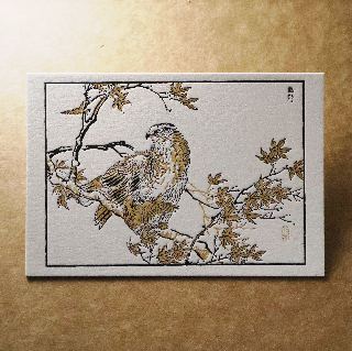 活版文創明信片/ 文創普通款/ 鸇