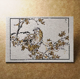 活版文創明信片/ 文創普通款/ 鸇