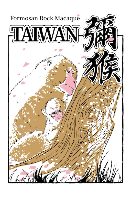 台灣獼猴