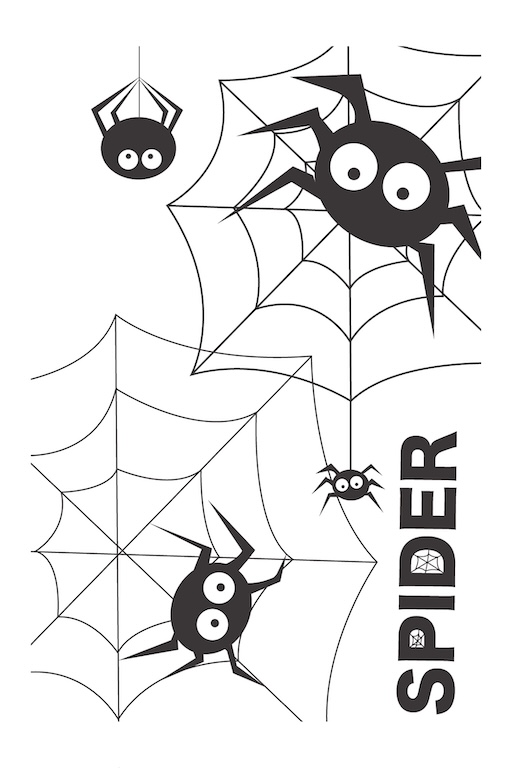SPIDER