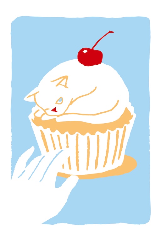 Cup Cat